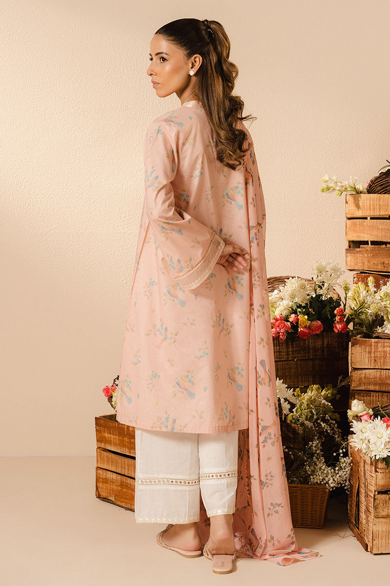 emlbasic-3_0001_DSC04545