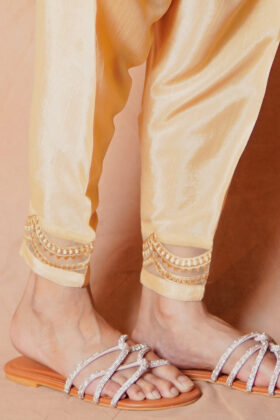 Embroided Shalwar 1