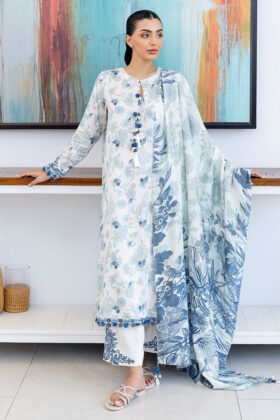 Whimsical Teal